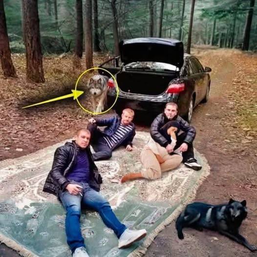 Do lasu przyprowadzono ciężarną kobietę — mieli wobec niej złe zamiary. On usłyszał jej płacz… i tak wszystko się zaczęło.