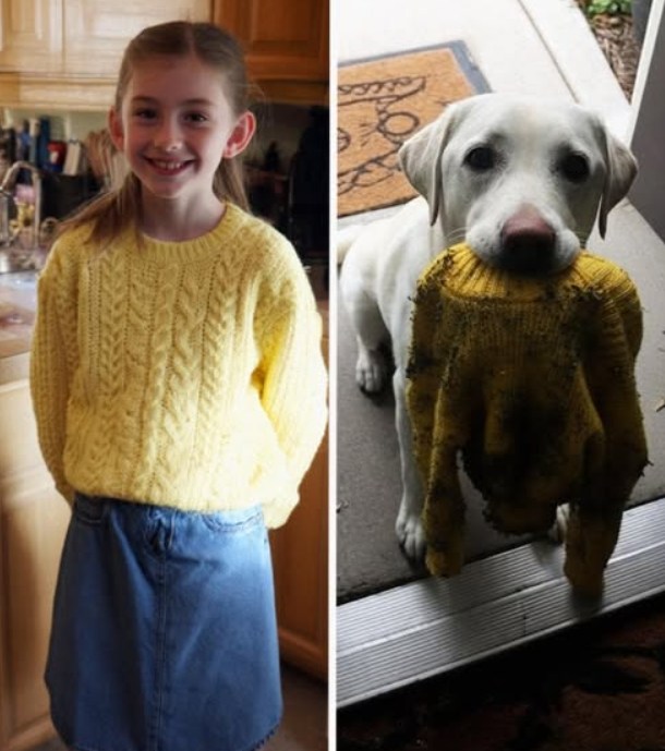 S kazhdym novym proektom, s kazhdoy novoy rabotoy, sozdannoy det’mi, kotorye poluchili podderzhku, nashe serdtse napolnyalos’ radost’yu.